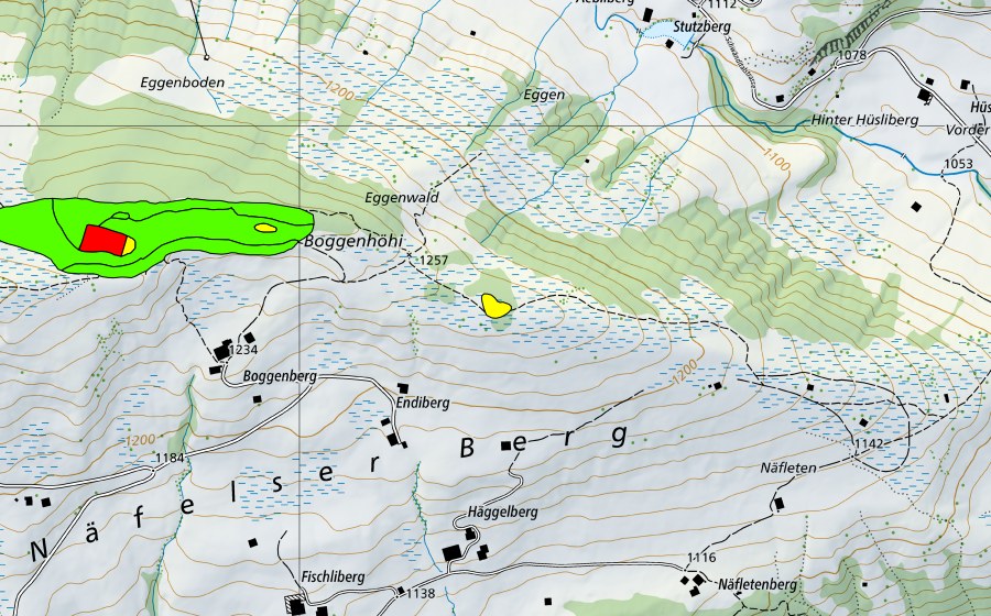 Landeskarte swisstopo mit dem Schutzperimeter von Boggenberg (Hochmoor)