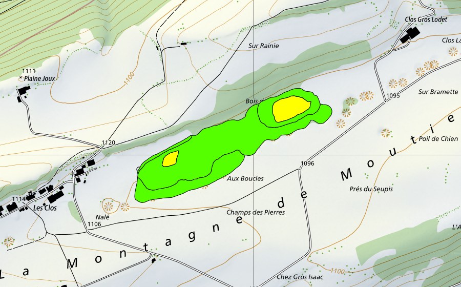 Carte nationale swisstopo avec le périmètre protégé de Bois des Muses (Haut-marais)