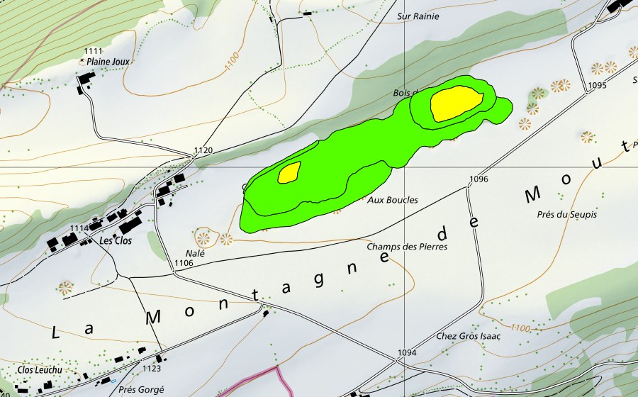 Carte nationale swisstopo avec le périmètre protégé de Bois des Muses (Haut-marais)