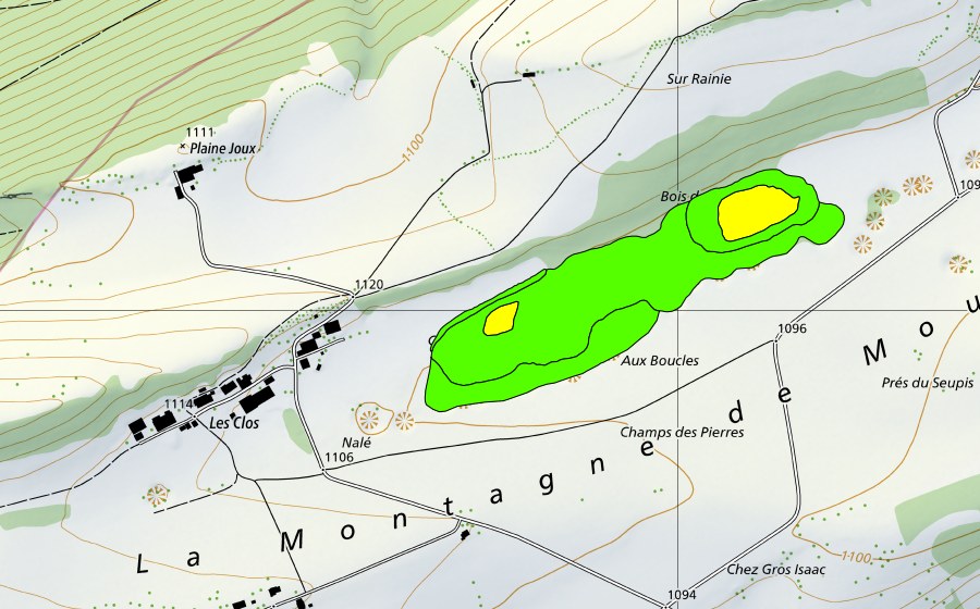 Landeskarte swisstopo mit dem Schutzperimeter von Bois des Muses (Hochmoor)