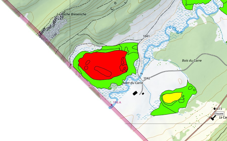 Landeskarte swisstopo mit dem Schutzperimeter von Bois du Carre (Hochmoor)