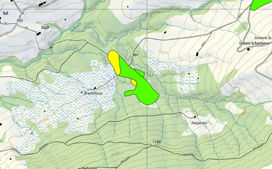 Landeskarte swisstopo mit dem Schutzperimeter von Breitmoos (Hochmoor)