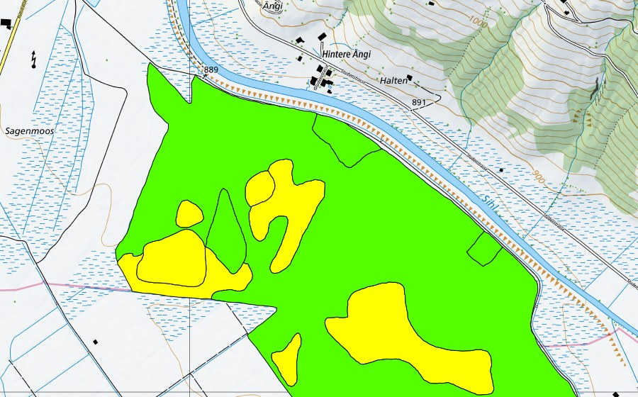 Carte nationale swisstopo avec le périmètre protégé de Breitried (Haut-marais)