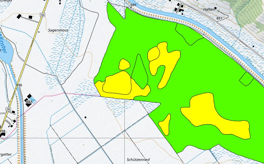 Landeskarte swisstopo mit dem Schutzperimeter von Breitried (Hochmoor)