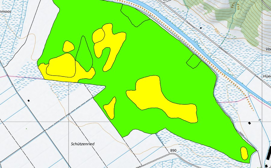 Landeskarte swisstopo mit dem Schutzperimeter von Breitried (Hochmoor)