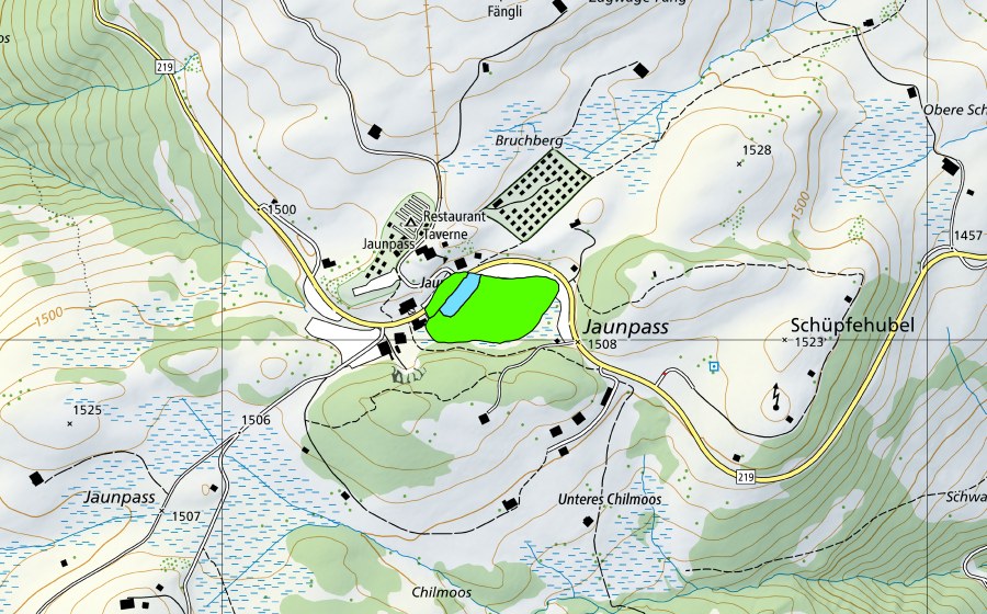 Carta nazionale swisstopo con il perimetro protetto di Bruchsee auf dem Jaunpass (Torbiera alta)