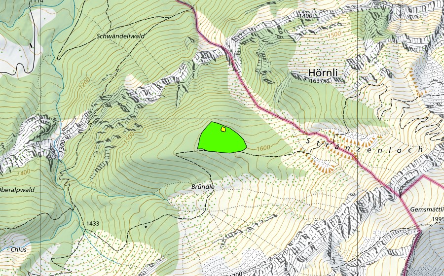 swisstopo national map showing the protected perimeter of Bründlen (Raised bog)