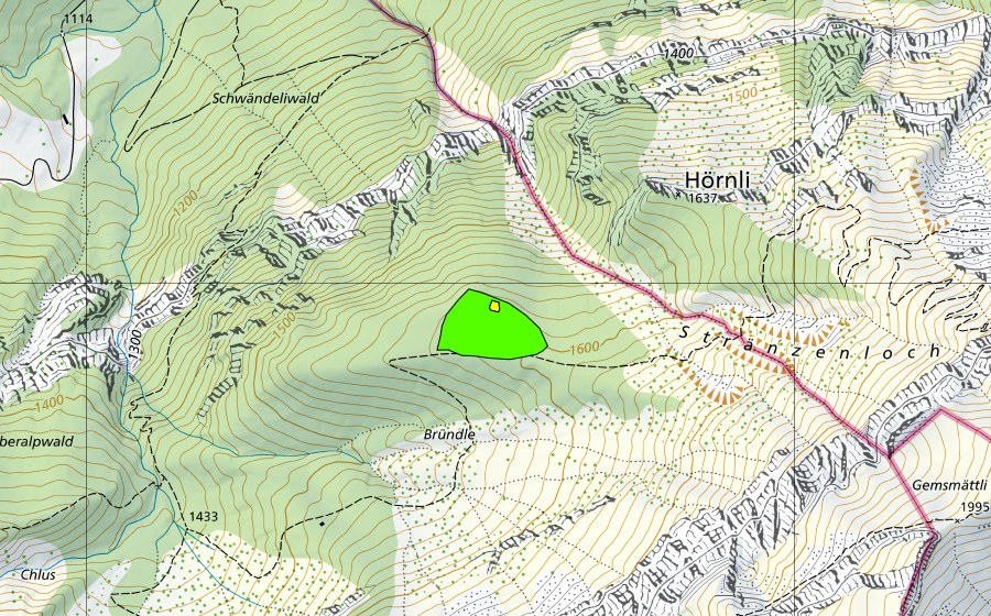 Landeskarte swisstopo mit dem Schutzperimeter von Bründlen (Hochmoor)