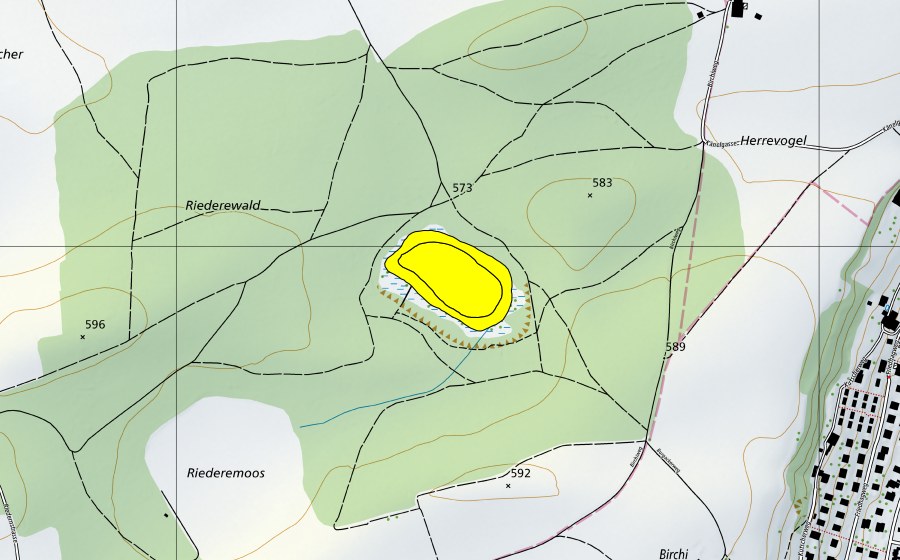 Landeskarte swisstopo mit dem Schutzperimeter von Büsselimoos (Hochmoor)