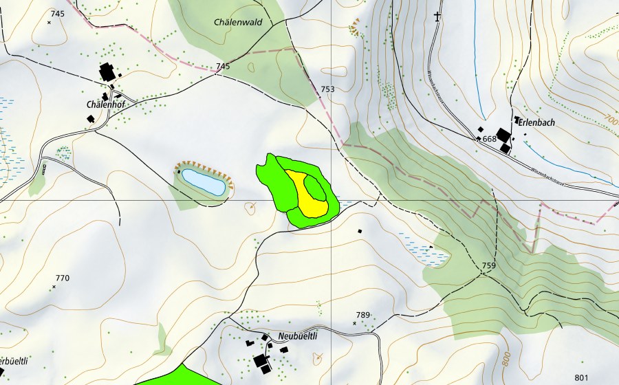 Landeskarte swisstopo mit dem Schutzperimeter von Chälenmoor (Hochmoor)