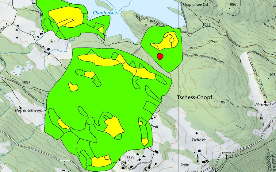 Landeskarte swisstopo mit dem Schutzperimeter von Chapfensee (Hochmoor)