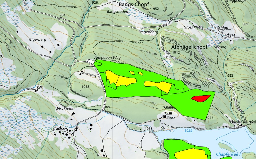 Carta nazionale swisstopo con il perimetro protetto di Chapfensee (Torbiera alta)