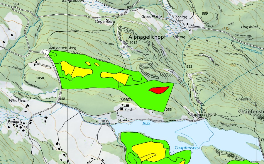 Landeskarte swisstopo mit dem Schutzperimeter von Chapfensee (Hochmoor)