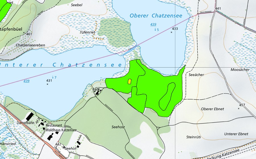 Landeskarte swisstopo mit dem Schutzperimeter von Chatzensee (Hochmoor)