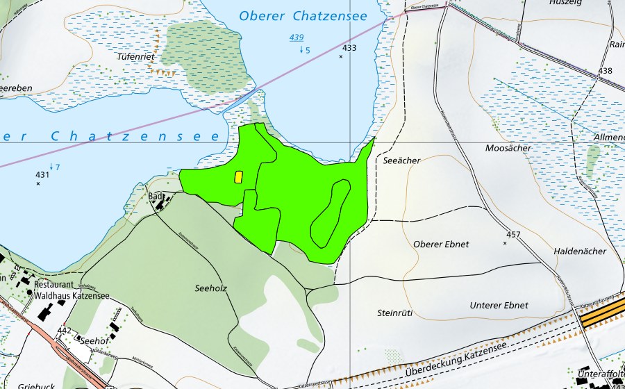 Landeskarte swisstopo mit dem Schutzperimeter von Chatzensee (Hochmoor)