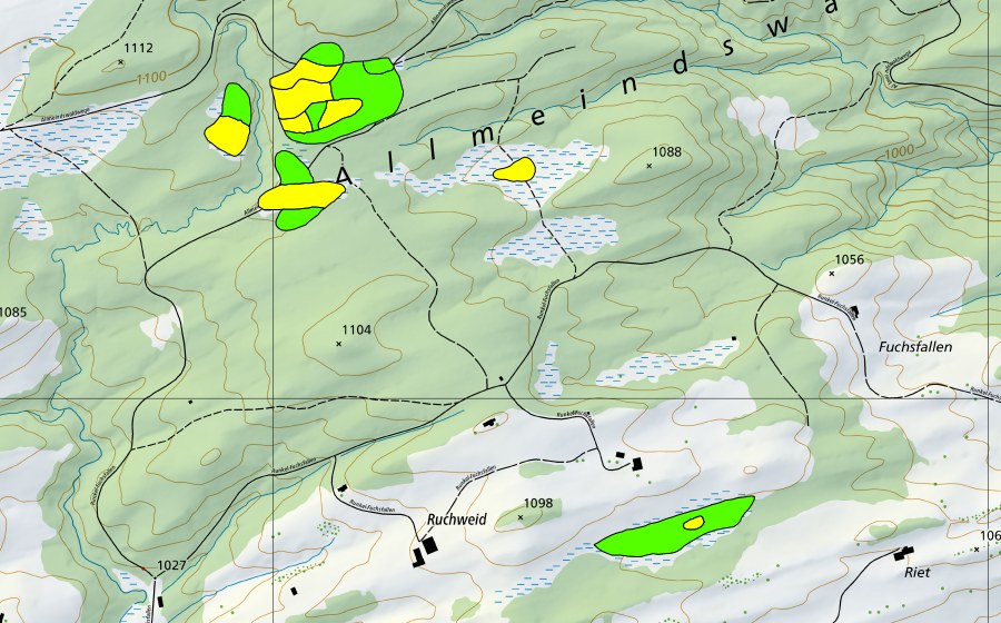 Landeskarte swisstopo mit dem Schutzperimeter von Chellen/Allmeindswald/Bendelried (Hochmoor)