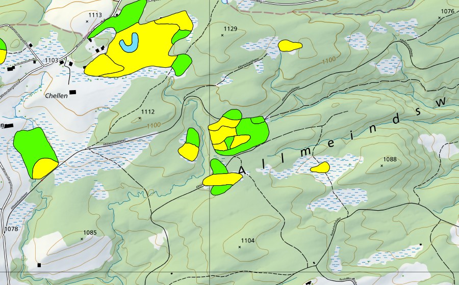 swisstopo national map showing the protected perimeter of Chellen/Allmeindswald/Bendelried (Raised bog)