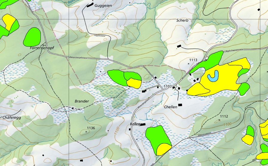swisstopo national map showing the protected perimeter of Chellen/Allmeindswald/Bendelried (Raised bog)