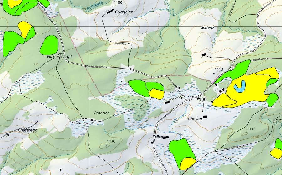 Landeskarte swisstopo mit dem Schutzperimeter von Chellen/Allmeindswald/Bendelried (Hochmoor)