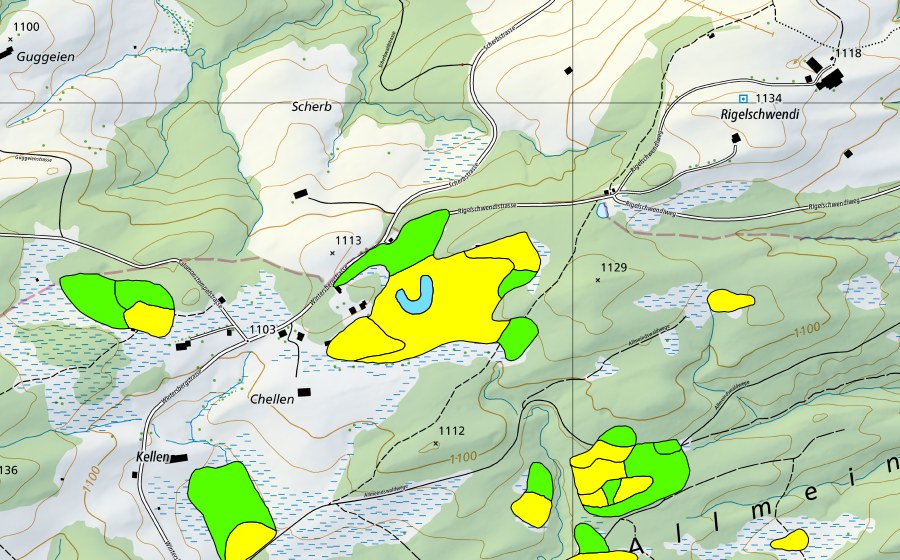 Landeskarte swisstopo mit dem Schutzperimeter von Chellen/Allmeindswald/Bendelried (Hochmoor)