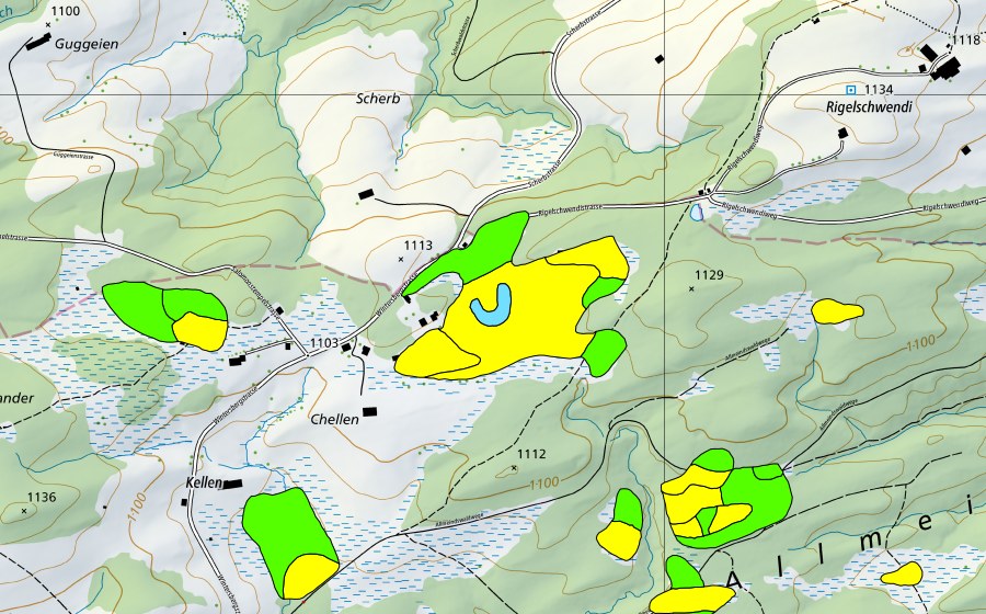 swisstopo national map showing the protected perimeter of Chellen/Allmeindswald/Bendelried (Raised bog)