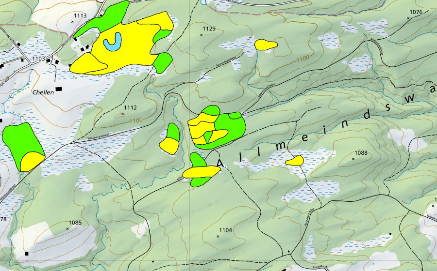 Carta nazionale swisstopo con il perimetro protetto di Chellen/Allmeindswald/Bendelried (Torbiera alta)