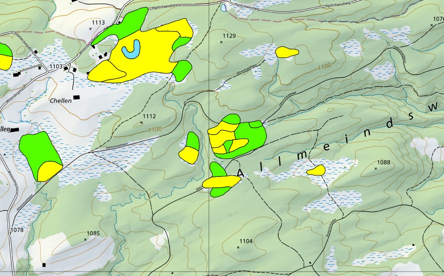 Carta nazionale swisstopo con il perimetro protetto di Chellen/Allmeindswald/Bendelried (Torbiera alta)