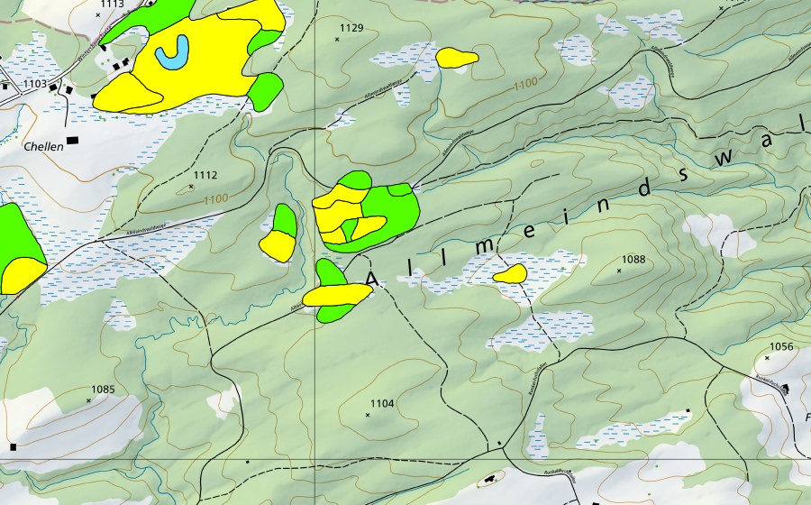 Landeskarte swisstopo mit dem Schutzperimeter von Chellen/Allmeindswald/Bendelried (Hochmoor)