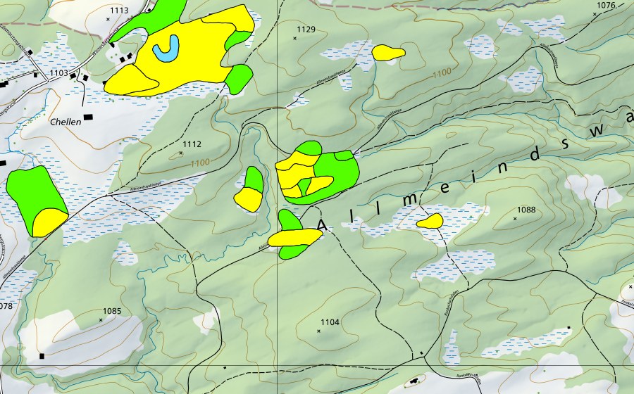 Carte nationale swisstopo avec le périmètre protégé de Chellen/Allmeindswald/Bendelried (Haut-marais)