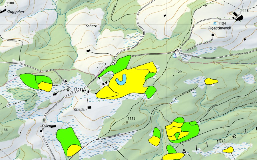 Landeskarte swisstopo mit dem Schutzperimeter von Chellen/Allmeindswald/Bendelried (Hochmoor)