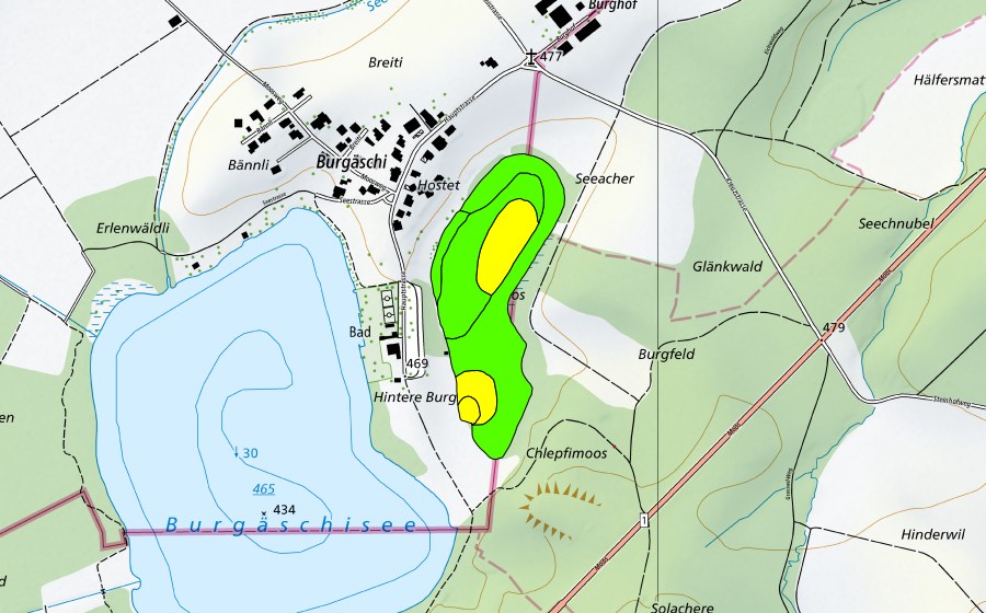 Carte nationale swisstopo avec le périmètre protégé de Chlepfimoos/Burgmoos (Haut-marais)