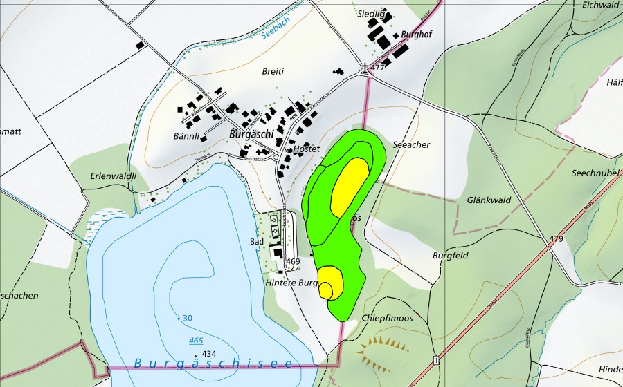 swisstopo national map showing the protected perimeter of Chlepfimoos/Burgmoos (Raised bog)