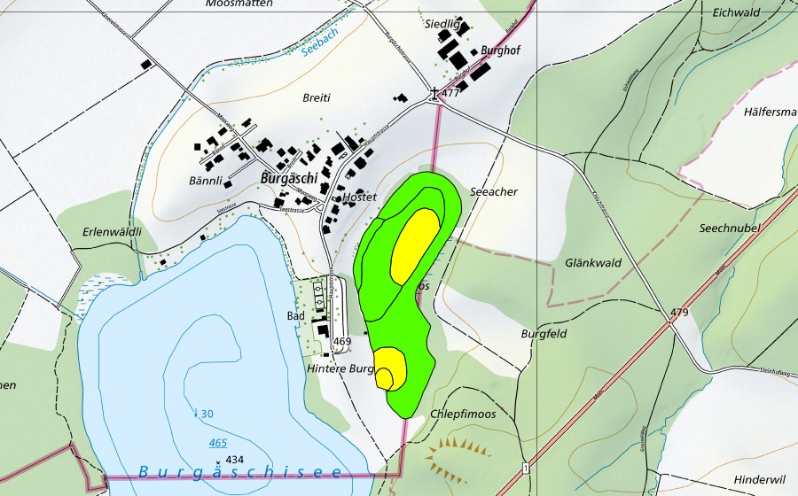 swisstopo national map showing the protected perimeter of Chlepfimoos/Burgmoos (Raised bog)