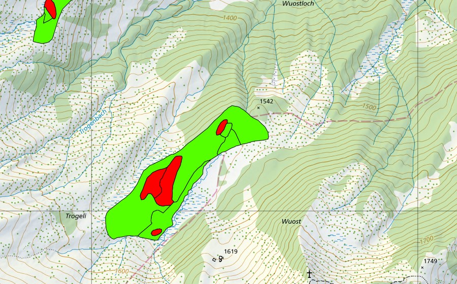 swisstopo national map showing the protected perimeter of Chli Trogen (Raised bog)