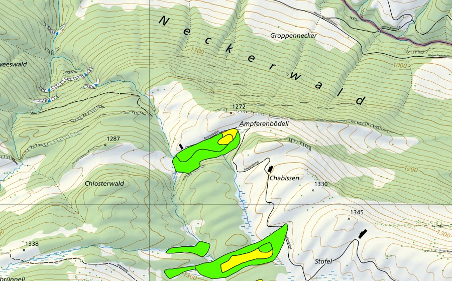 swisstopo national map showing the protected perimeter of Chlosterwald-Moore/Ampferenbödeli (Raised bog)