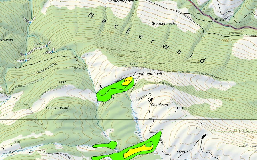 Landeskarte swisstopo mit dem Schutzperimeter von Chlosterwald-Moore/Ampferenbödeli (Hochmoor)