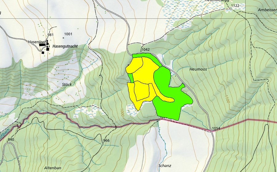 Landeskarte swisstopo mit dem Schutzperimeter von Chnoden/Heumoos (Hochmoor)