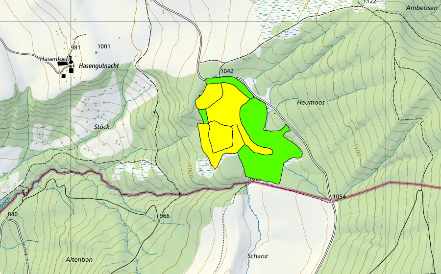 swisstopo national map showing the protected perimeter of Chnoden/Heumoos (Raised bog)