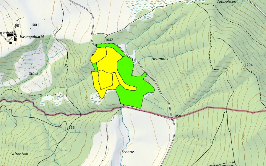swisstopo national map showing the protected perimeter of Chnoden/Heumoos (Raised bog)