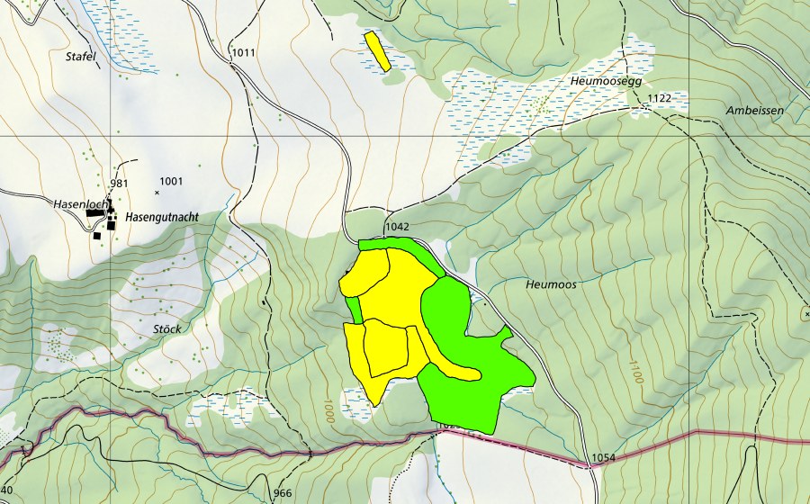 Landeskarte swisstopo mit dem Schutzperimeter von Chnoden/Heumoos (Hochmoor)