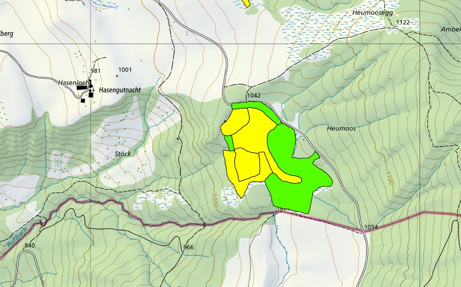 Landeskarte swisstopo mit dem Schutzperimeter von Chnoden/Heumoos (Hochmoor)