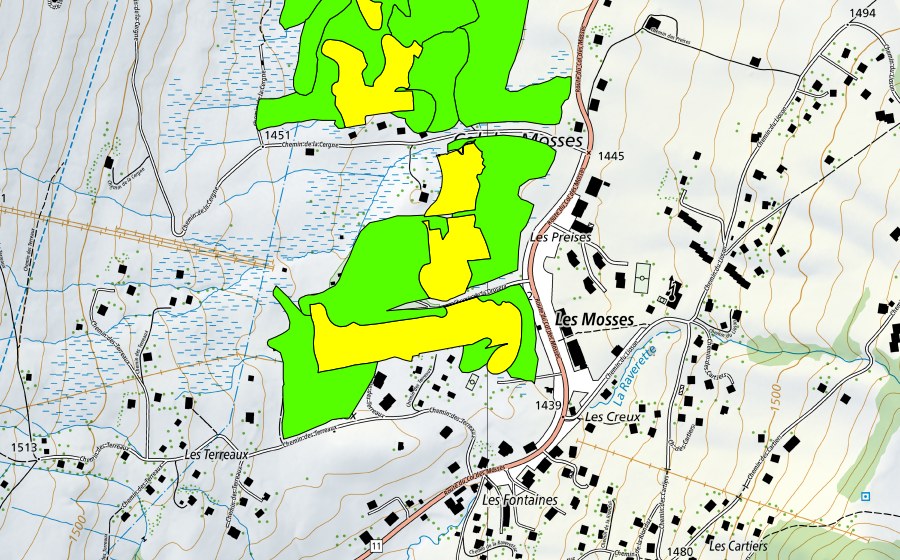 swisstopo national map showing the protected perimeter of Col des Mosses (Raised bog)