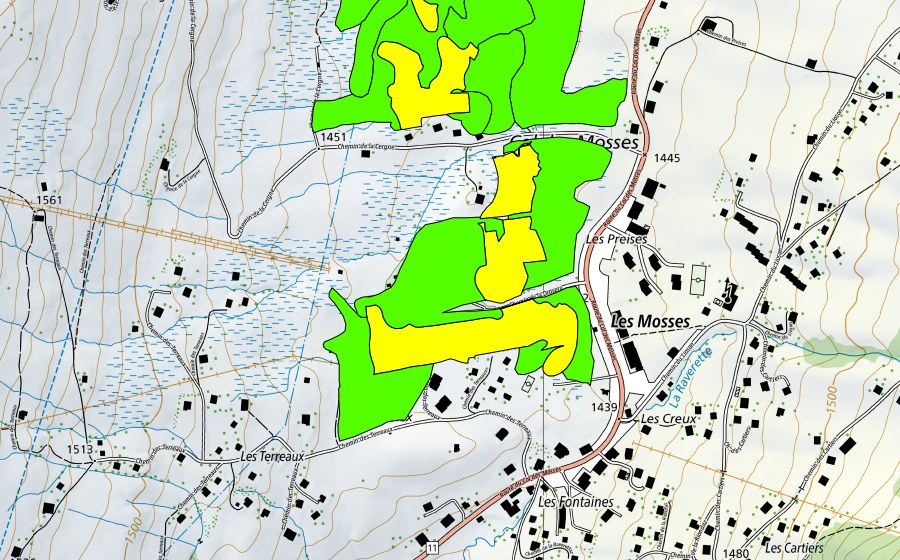 swisstopo national map showing the protected perimeter of Col des Mosses (Raised bog)
