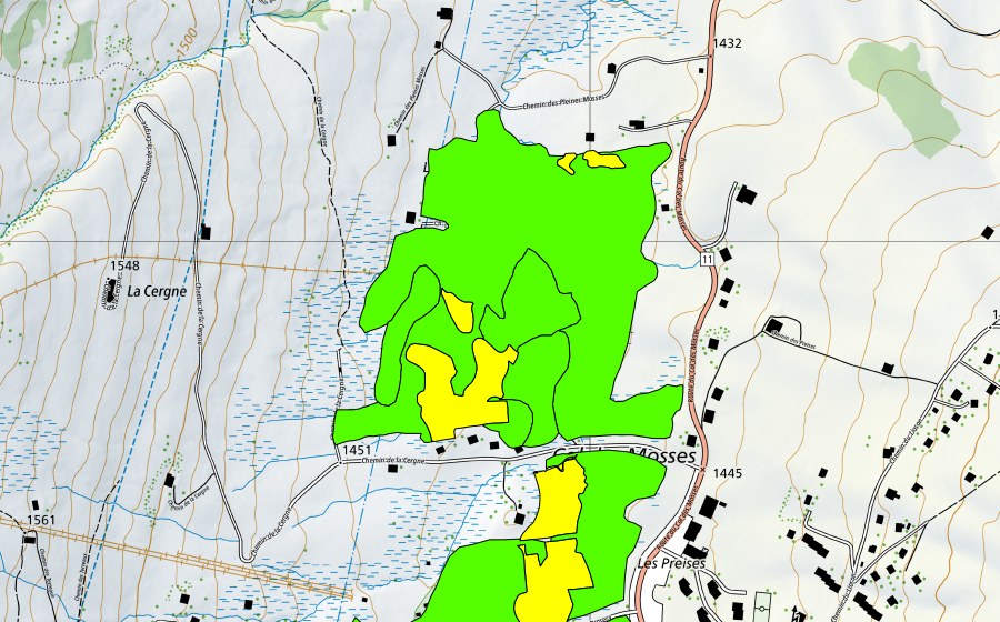 Landeskarte swisstopo mit dem Schutzperimeter von Col des Mosses (Hochmoor)