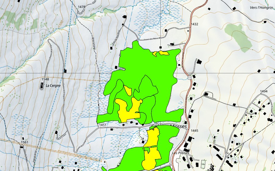 Landeskarte swisstopo mit dem Schutzperimeter von Col des Mosses (Hochmoor)
