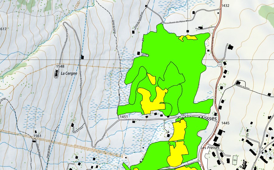 Landeskarte swisstopo mit dem Schutzperimeter von Col des Mosses (Hochmoor)