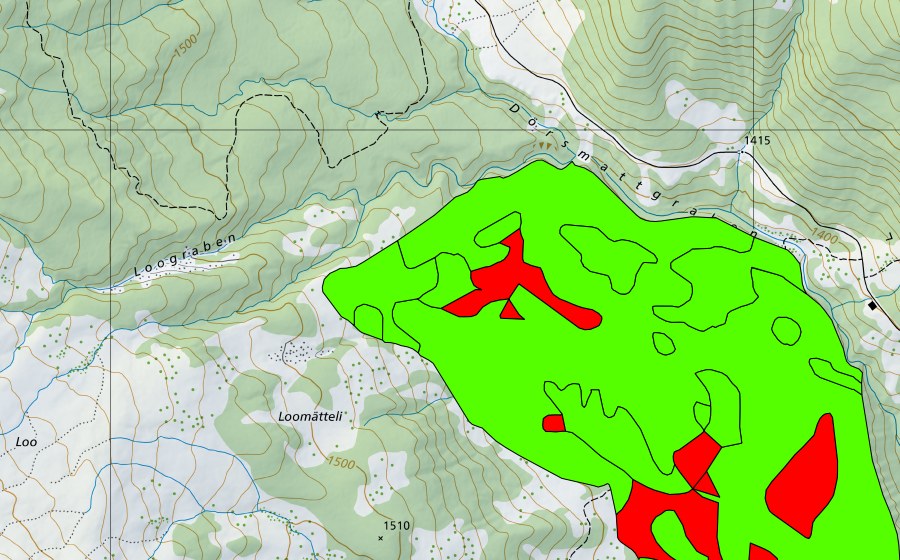 Landeskarte swisstopo mit dem Schutzperimeter von Dälenboden (Hochmoor)