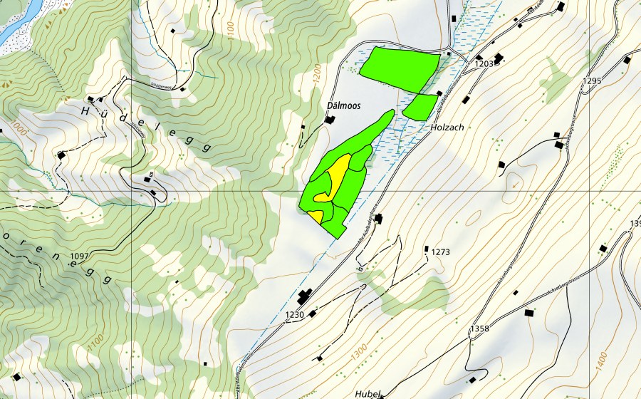 Carte nationale swisstopo avec le périmètre protégé de Dälmoos Achseten (Haut-marais)