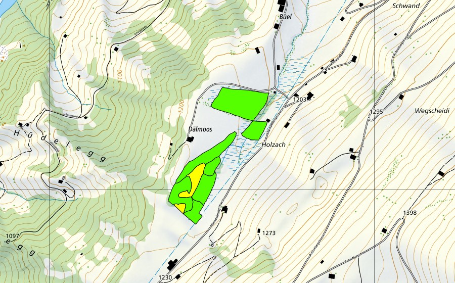 Carte nationale swisstopo avec le périmètre protégé de Dälmoos Achseten (Haut-marais)
