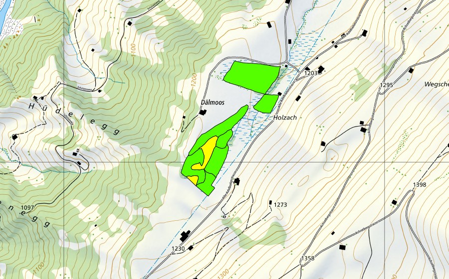Landeskarte swisstopo mit dem Schutzperimeter von Dälmoos Achseten (Hochmoor)